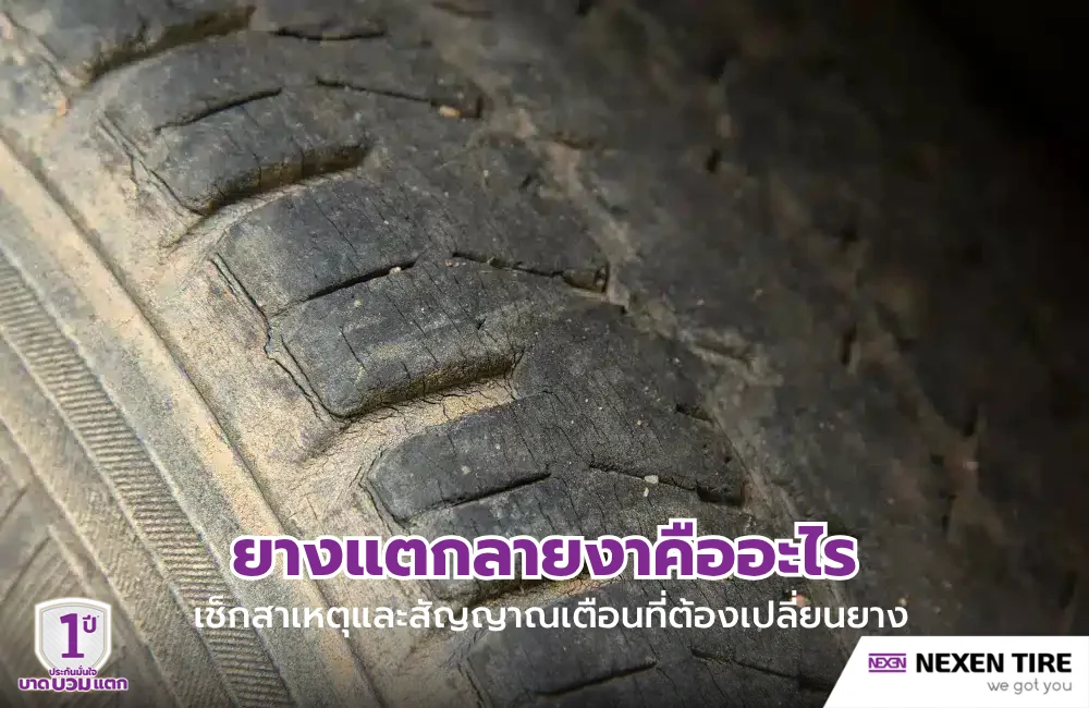 ยางแตกลายงาคืออะไร เช็กสาเหตุและสัญญาณเตือนที่ต้องเปลี่ยนยาง
