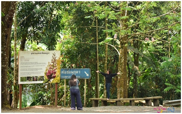 อุทยานแห่งชาติดอยภูคา