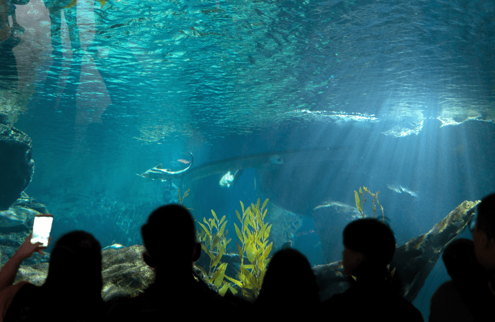 Sea Life Bangkok