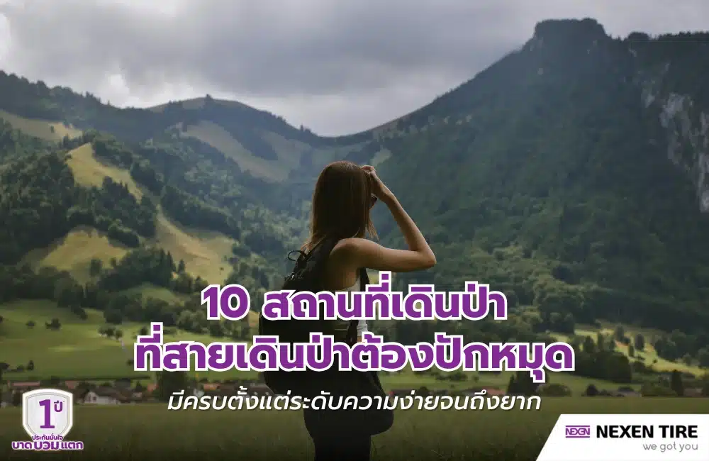 สถานที่เดินป่า